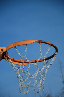 开云网页版-NBA球员体能训练计划设计与效果评估，nba球员的体能训练