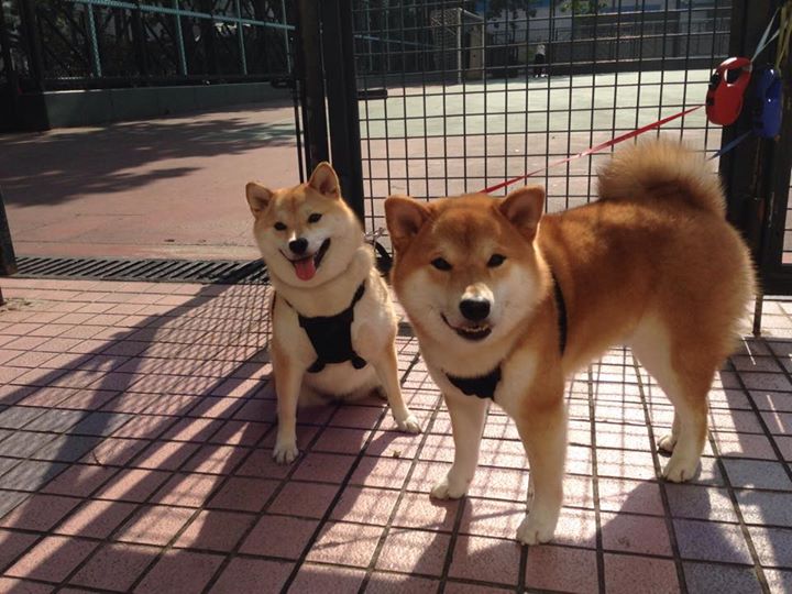 开yun官网-博卡中场组织略显混乱，传递失误多，博卡vs竞技实时比分